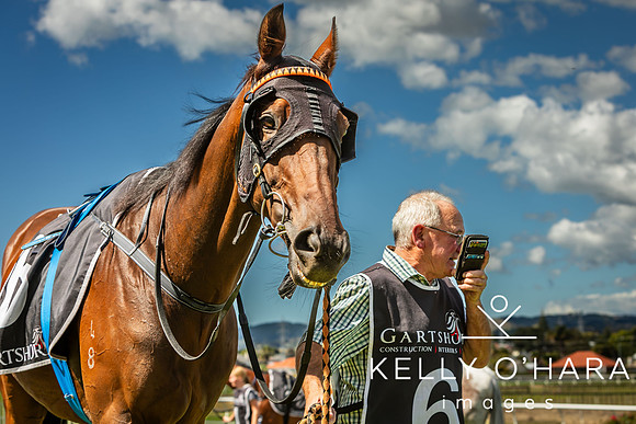 Tauranga Race Course March 15 2025 wm-0629