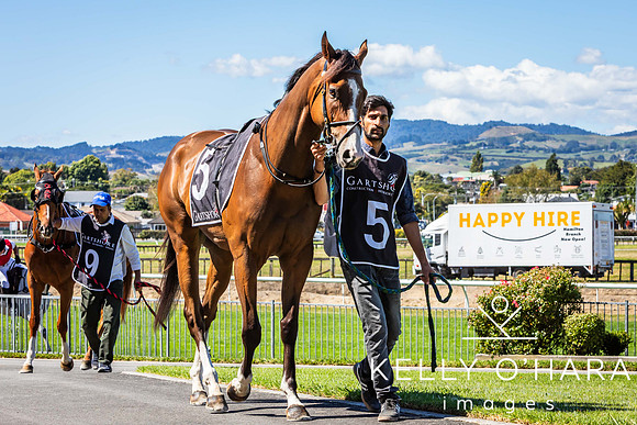 Tauranga Race Course March 15 2025 wm-0157