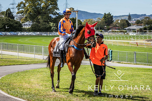 Tauranga Race Course March 15 2025 wm-0231