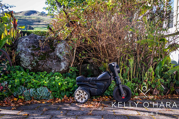 Kiteroa 2024 wm-