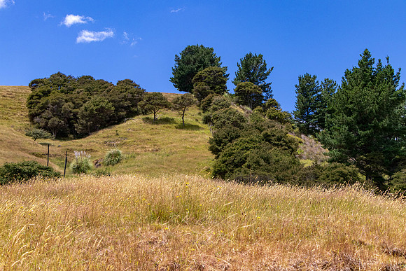 Kiteroa 2020-0160