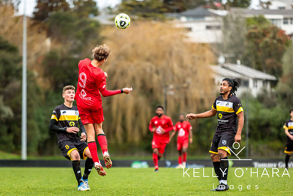 Franklin vs Northern Rovers 2024 wm-0995