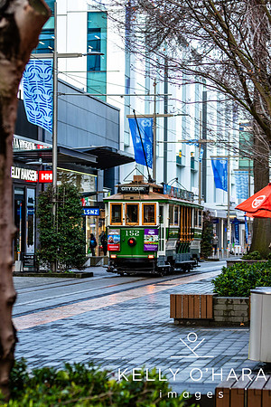 Christchurch 2024 wm-7643