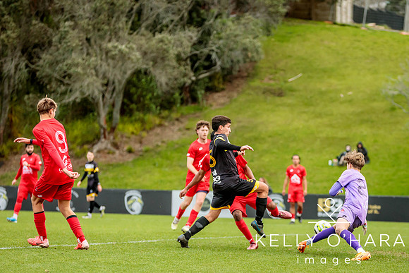 Franklin vs Northern Rovers 2024 wm-0988