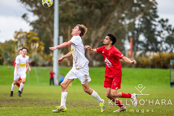 Franklin vs Onehunga Mangere 2024 wm-0310