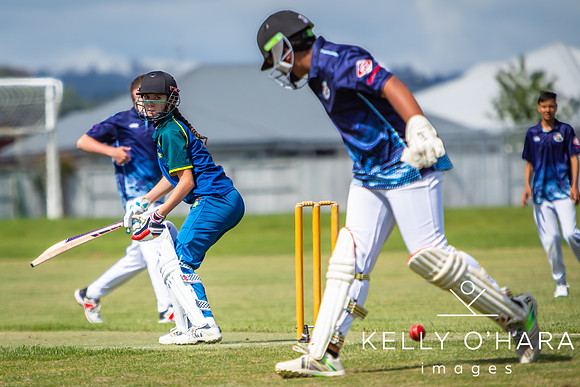 Aquinas vs Te Puke Cricket 2024 wm-0167