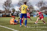 Takapuna vs Cambridge August 2025 wm-0382