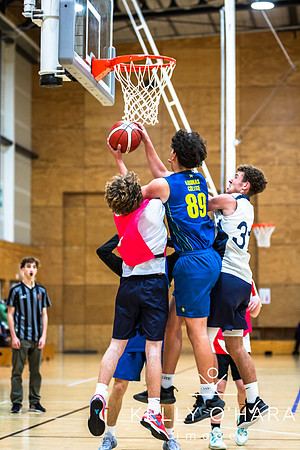 Aquinas Basketball 2024 wm-9283