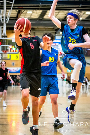 Aquinas vs Mount Basketball July 2024 wm-9377