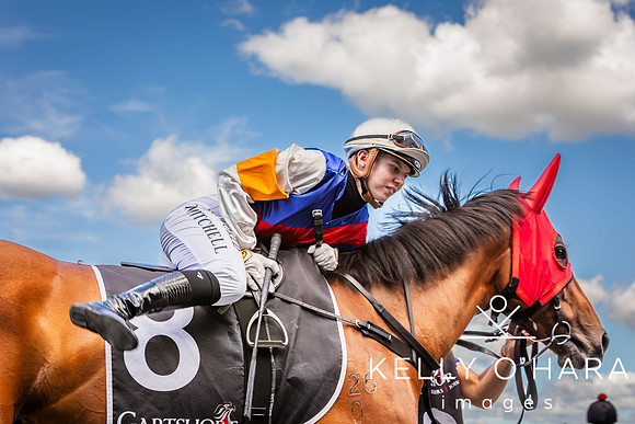 Tauranga Race Course March 15 2025 wm-0657