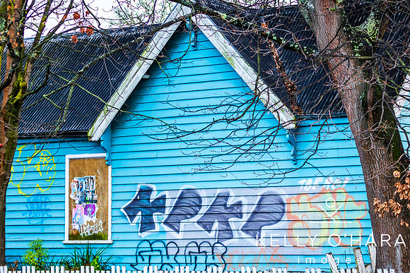 Christchurch 2024 wm-7564