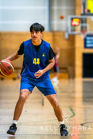 Aquinas vs Mount Basketball July 2024 wm-9405