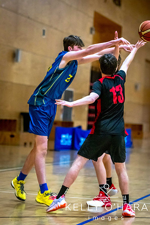 Aquinas vs Mount Basketball July 2024 wm-9407