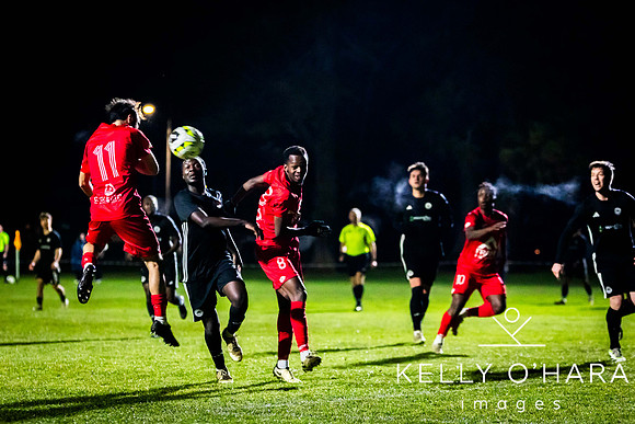 Franklin vs Manukau 2024 wm-8567