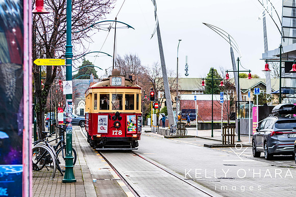Christchurch 2024 wm-7614