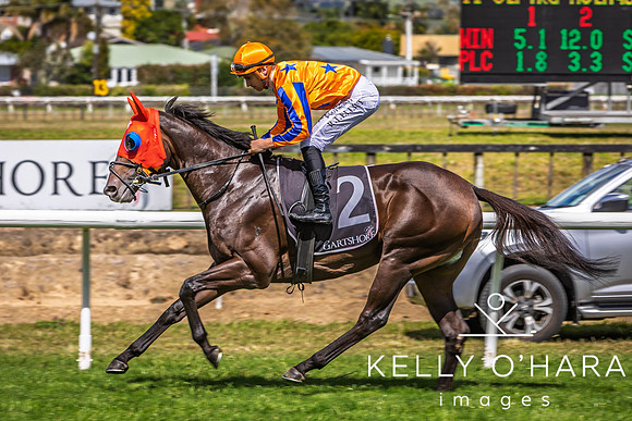 Tauranga Race Course March 15 2025 wm-0915