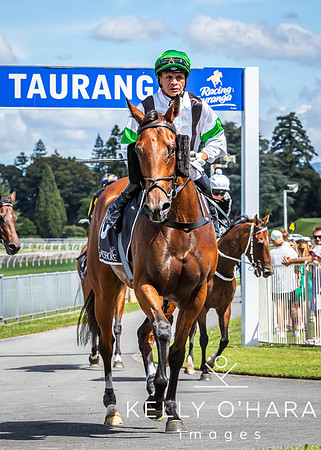 Tauranga Race Course March 15 2025 wm-0428