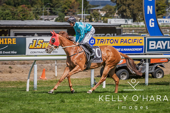 Tauranga Race Course March 15 2025 wm-0897