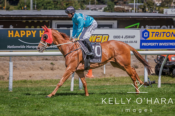 Tauranga Race Course March 15 2025 wm-0898