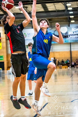 Aquinas vs Mount Basketball July 2024 wm-9296