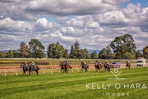 Tauranga Race Course March 15 2025 wm-0934