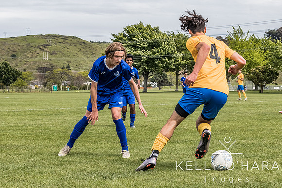 Napier Tournament 2021 wm-0078