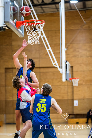 Aquinas Basketball 2024 wm-9326
