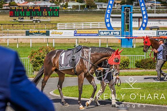 Tauranga Race Course March 15 2025 wm-0884