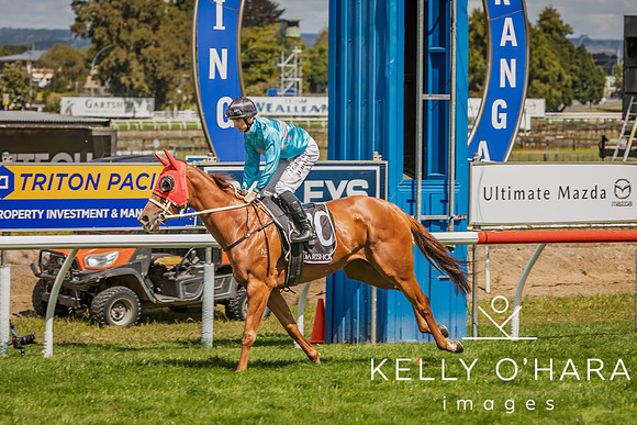 Tauranga Race Course March 15 2025 wm-0895