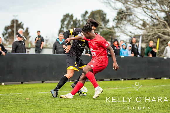 Franklin vs Northern Rovers 2024 wm-0874